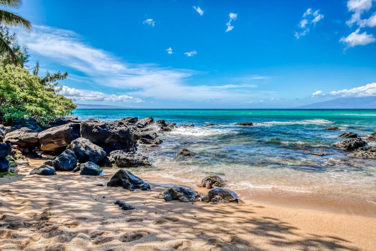 Vila Mahina Surf Kahana Pokoj fotografie