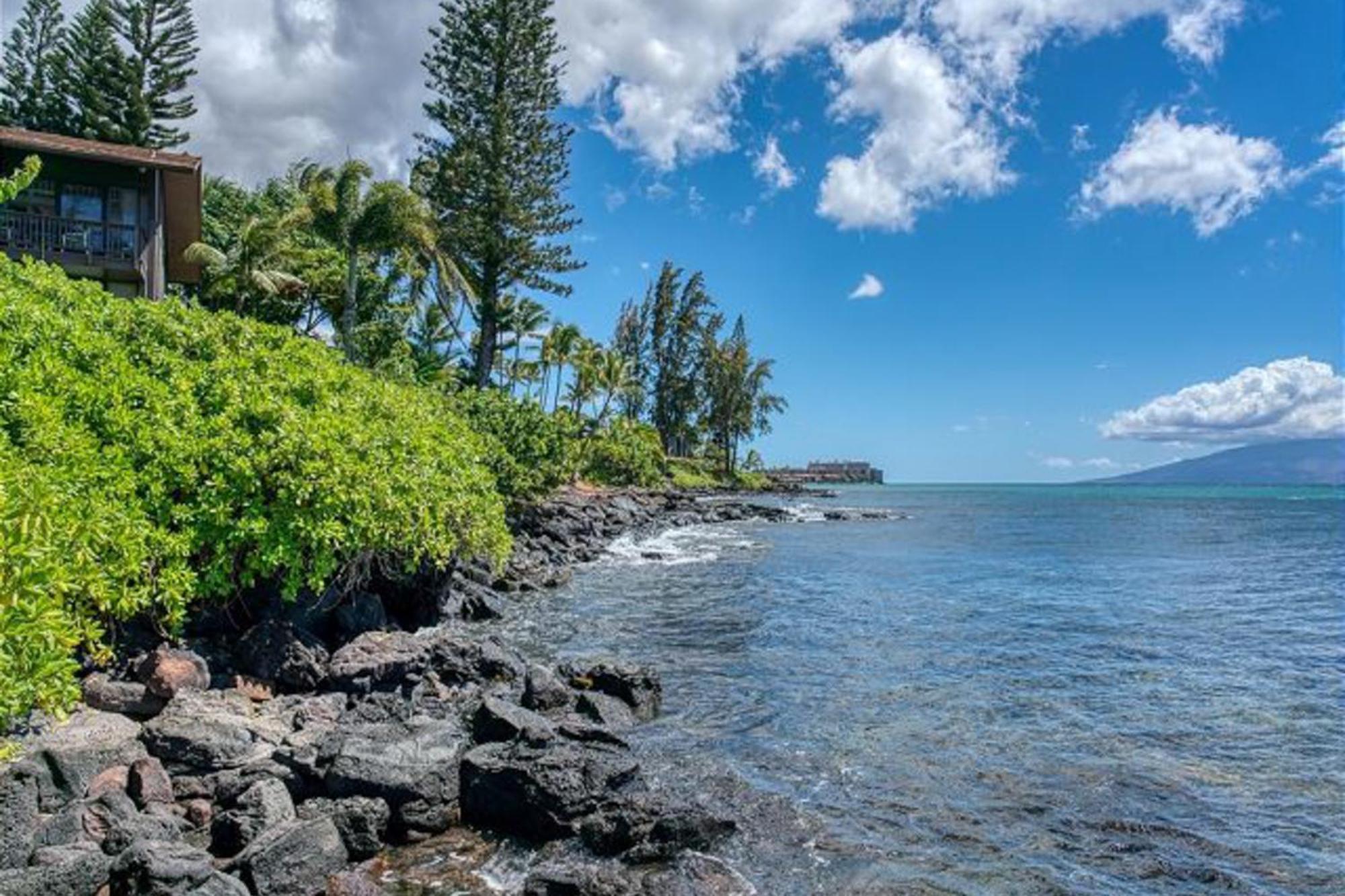 Vila Mahina Surf Kahana Pokoj fotografie